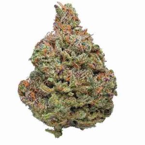 Afghan Kush Weed Flower Bologna