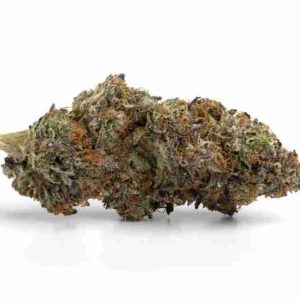Alaskan Thunder Fuck Weed Strain Lisbon