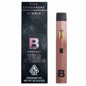 Blinkers Disposable Vape Bern