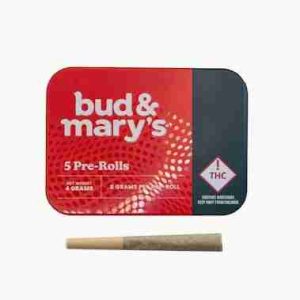Bud & Mary's Skywalker Infused PreRoll Cone Warsaw