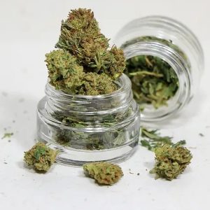 Buy Marijuana Flowers Europe