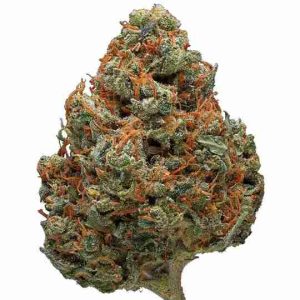 Durban Poison Sativa Weed Munich
