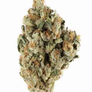 Frosted Donut Weed Strain Minsk