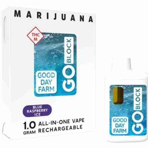 GDF GO Block Vape Blue Raspberry Ice Palermo