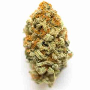 GMO Cookies Cannabis Flower Sevilla