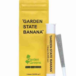 Garden State Banana Blunt Runtz Preroll Lyon