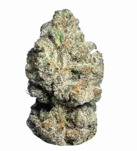 Ghost OG Kush Weed Strain Naples