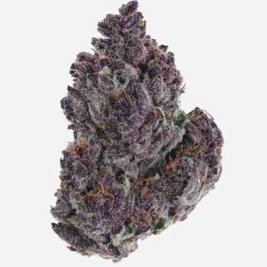 Granddaddy Purple Marijuana Strain Warsaw