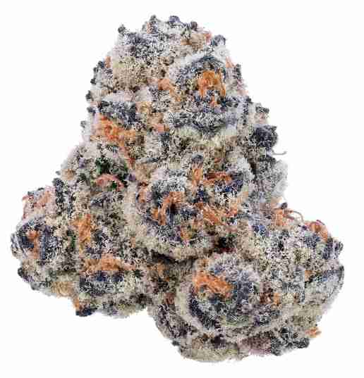 Hindu Kush Weed Strain Krakow