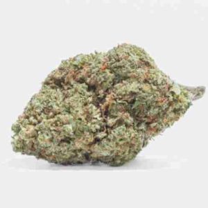 Island Sweet Skunk Weed Strain Lille