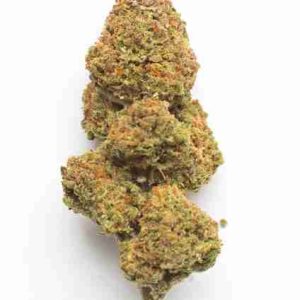 Jack the Ripper Marijuana Flower Rome