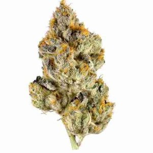 Jet Fuel OG Weed Strain Prague