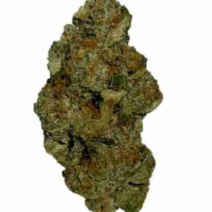 Lamb's Bread Cannabis Strain Oslo