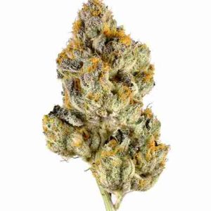 Lemon Cherry Gelato hybrid Weed Brussels