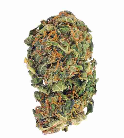 Mango OG Kush Cannabis Strain Barcelona