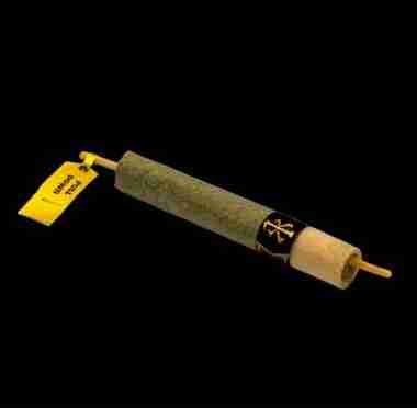 Natural Soldato Orange Apricot Infused Pre-Rolls Lyon