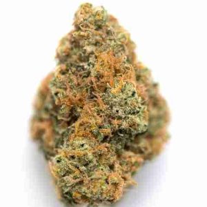 Orange Kush Weed Strain Rome