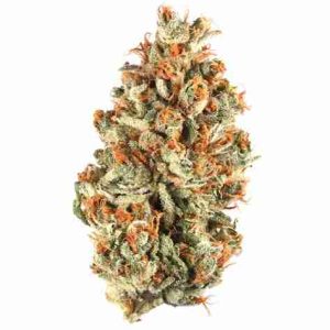Platinum OG Indica Weed Munich