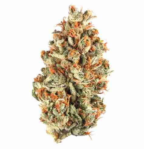 Platinum OG Indica Weed Munich