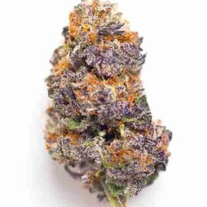 Purple Kush Indica Weed Strain Paris