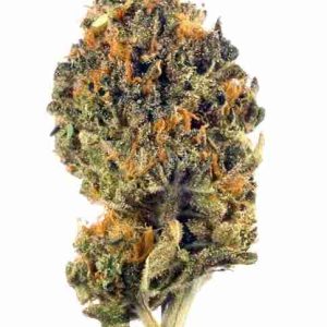 Purple Trainwreck Weed Strain Berlin