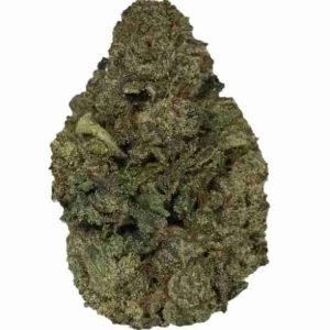 SFV OG Weed Strain Athens
