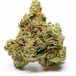 Skywalker OG Weed Strain Warsaw