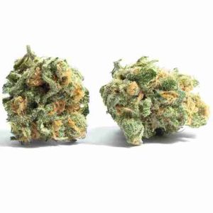 Snoop's Dream Hybrid Weed Lisbon