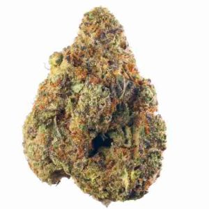 Stardawg Cannabis Strain Budapest