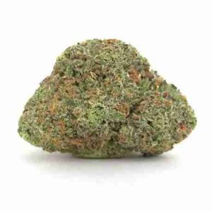 Tangie Sativa Weed Strain Rotterdam