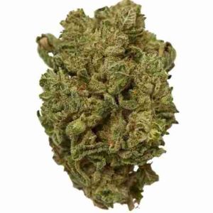 The Original Z Marijuana Strain Warsaw